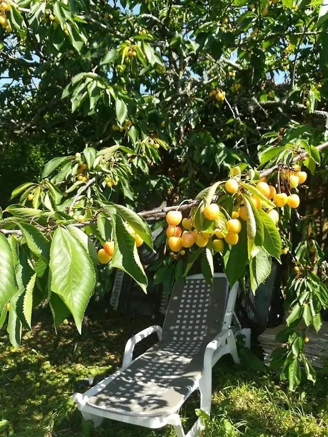 Gite Familial Sunshine Saint-Brice-en-Cogles Holiday home Maen Roch