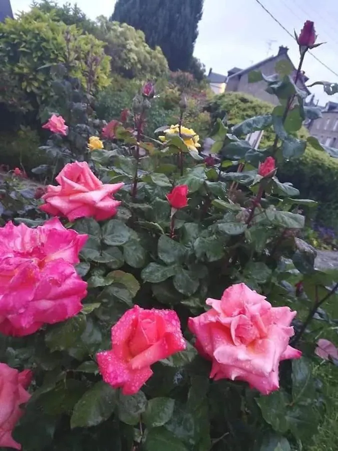 Gite Familial Sunshine Saint-Brice-en-Cogles Maen Roch