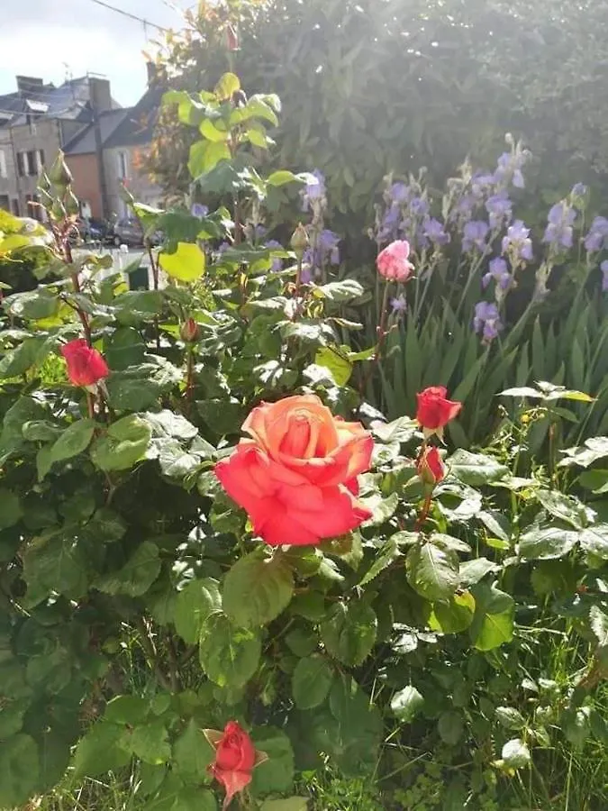 Gite Familial Sunshine Saint-Brice-en-Cogles 0*, Maen Roch