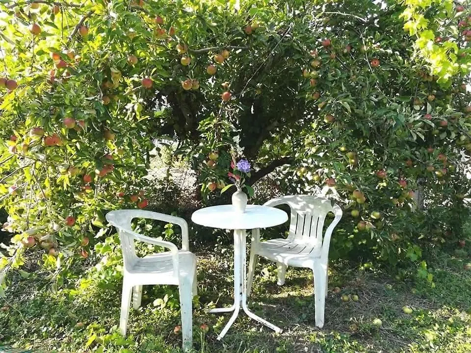 Gite Familial Sunshine Saint-Brice-en-Cogles 0*, Maen Roch France